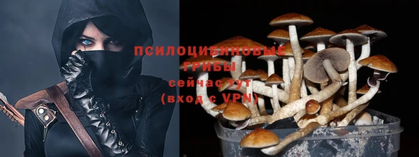 твердый Армянск