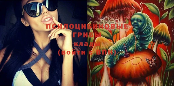 твердый Армянск