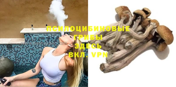 гидропоника Няндома