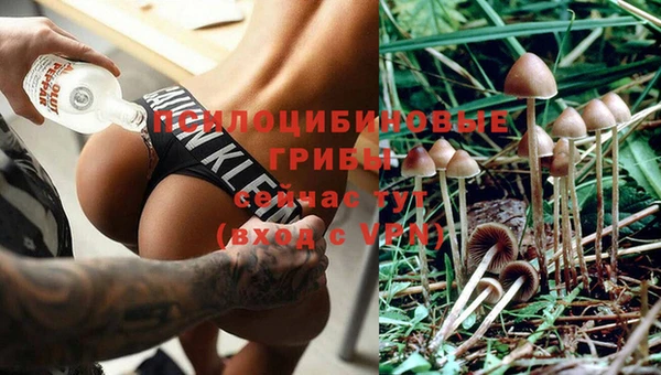 MESCALINE Осинники