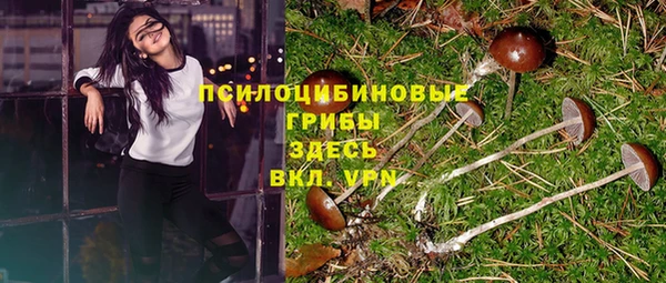 мет Арсеньев